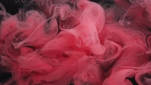 Abstract Footage of Red Ink Swirling in Dark Liquid