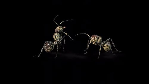 Zombie Ant Idle 3