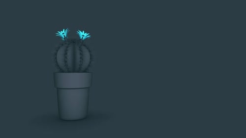 Cactus Gray