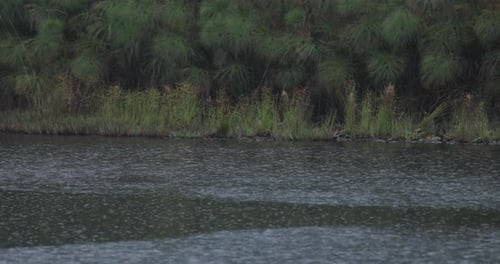 Regen prasselt auf die Oberfläche eines Teiches