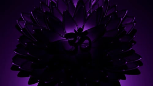 Meditative Om Symbol Reveal Animation with Glowing Lotus