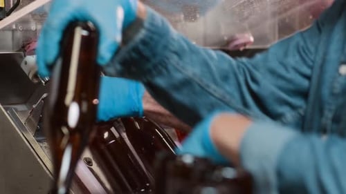 Beer Bottles Being Sorted on Automated Factory Line