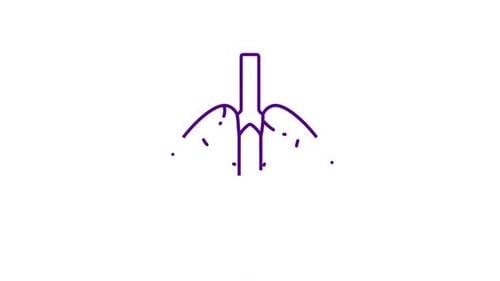 Flat Design Lungs Outline Reveal Animation