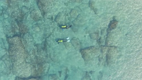 A drone view of sharks swimming in clear water, Hadera in Israel