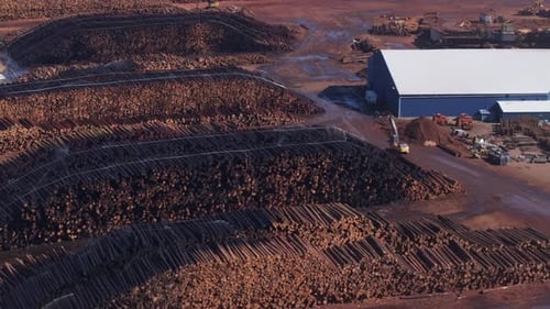 Massive Aerial View of Timber Logs Stockpiled at Industrial Wood Yard