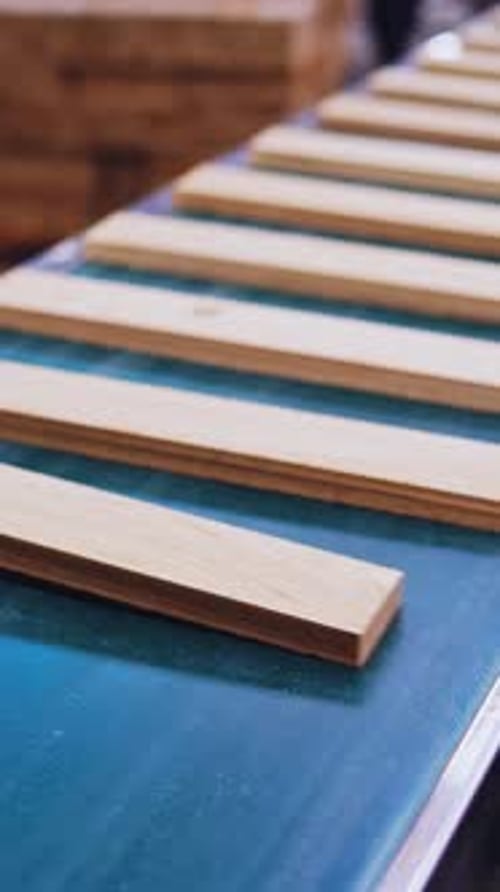 Wooden boards moving on a conveyor line. Modern factory of parquet production.