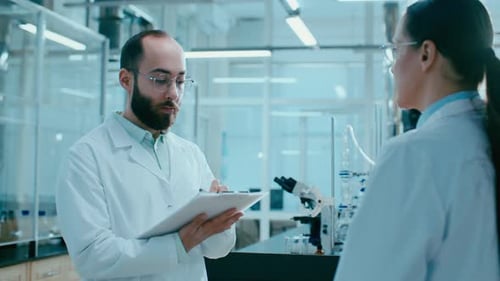 Scientists Discussing Notes in Brightly Lit Laboratory