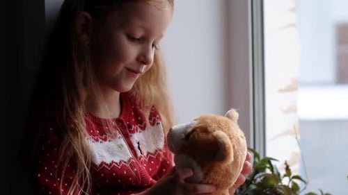 Little Girl Hugging Stuffed Animal by the Window