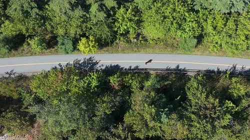 Top View Of Male Runner On Asphalt Trail In Sunny Summer Park Halifax Canada