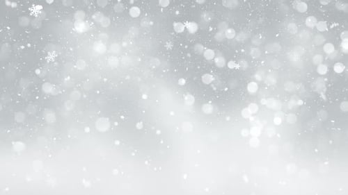 Christmas Elegant Snow Background 14