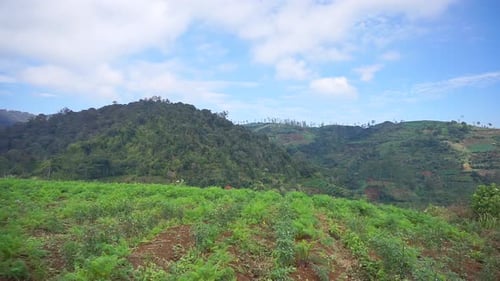 beautiful mountain natural scenery natural panorama of hills, with forest of tall green trees