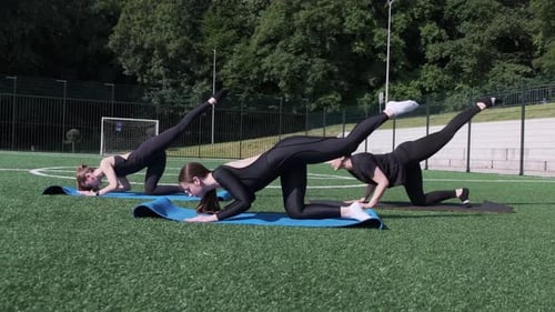 An Energetic Workout Session with Diverse Individuals Exercising on a Turf Field Enhancing Fitness