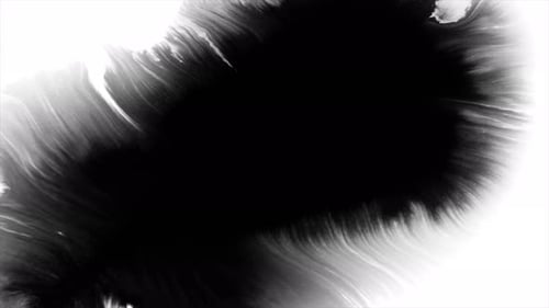 Black Ink Expanding on White Background, Paint Spreading