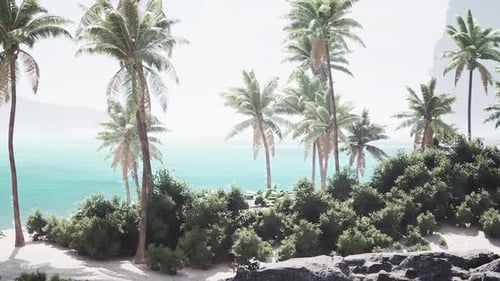 Tropical Paradise in the Bahamas with Swaying Palm Trees and Turquoise Waters