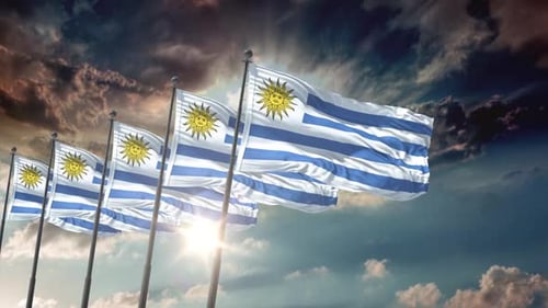 Multiple Uruguay Flags Waving on Flagpoles