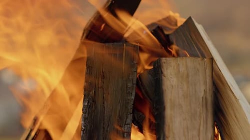 Burning Bonfire with Vibrant Flames Close-Up