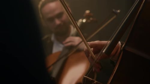 String Musicians Making Performance