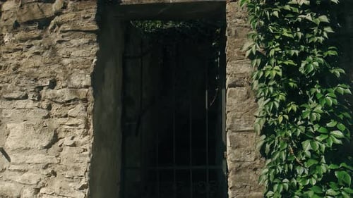 An Ancient Stone Gate That is Beautifully Adorned with Lush Greenery Surrounding It