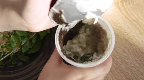 Moldy Spoiled Food Growing in Container