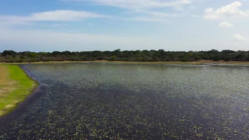 Tropical Landscape with a Lake Sri Lanka