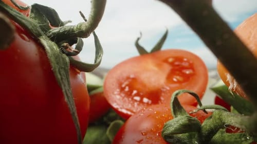 Close Up of Garden Fresh Vegetables and Produce