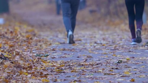 People walking along a leaf-covered path in autumn park, low-angle view emphasizing seasonal ground