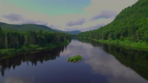 Scenic River Flowing Through Green Forest Landscape