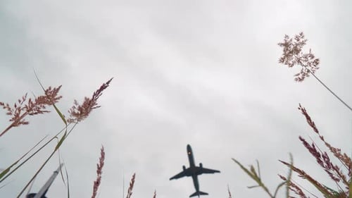 Passenger Airplane in Cloudy Sky Aircraft Overhead Bottom View Jet Plane Flies for Landing Slow
