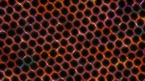 3D Abstrait, lignes lumineuses brillantes, ensemble de vagues, coloré, fond noir