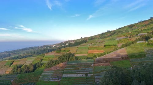 Aerial view of terraced farmland on a hillside under clear blue sky.