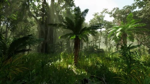 Lush Jungle in China Showcasing Diverse Vegetation and Vibrant Greenery