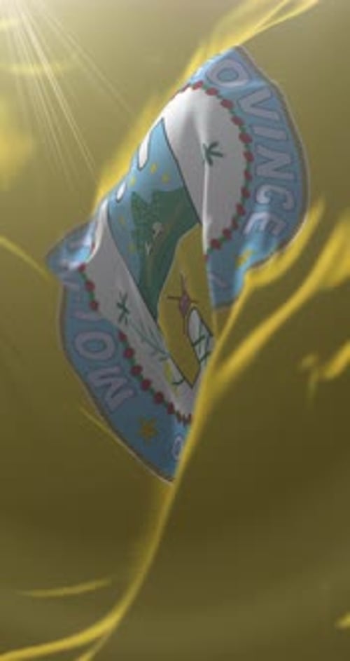 3D Realistic Waving Flag Vertical Loop