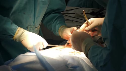 Der Chirurg näht nach der Operation eine Wunde mit selbstabsorbierenden Fäden, Nahaufnahme der Hände