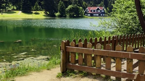 The Lake House And Green Nature 22