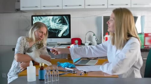 Veterinarian Examines Cat with Owner Present