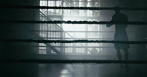 Muscular Boxer Training in Boxing Ring