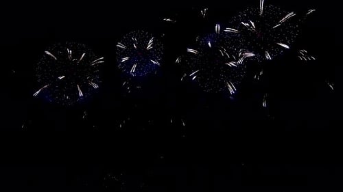 Bright Fireworks Light Up the Dark Night Sky in a Dazzling Display of Color and Sound