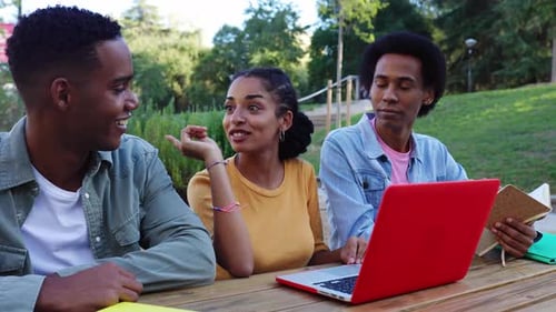 Diverse Group of College Students Studying Together at University Campus