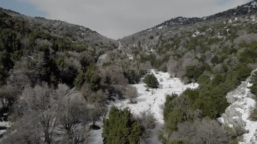 Oak Forest and mounatin with snow, aerial, Israel