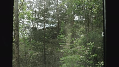 Vue de la fenêtre depuis la cabane, maison en bois, forêt verte, la lumière du soleil extérieure passe à travers la forêt de fenêtres