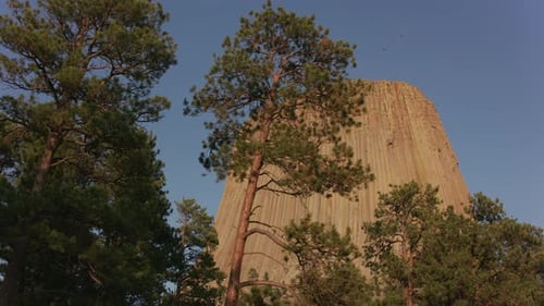 Das Devils Tower National Monument schimmert unter dem blauen Sommerhimmel von Wyoming