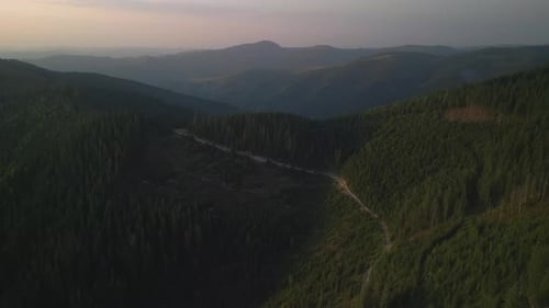 Flying Over Green Forest at Cloudy Day with the Mountains on Horizon with Glowing Clouds Carpathian