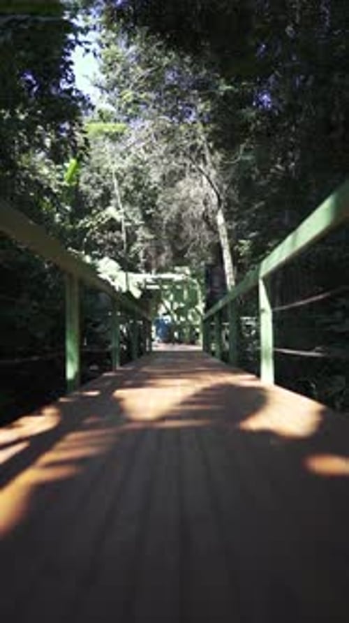 POV Walking Across Bridge in Wooded Nature