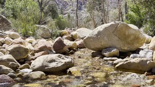 Shot of a running creek surrounded by rocks, trees desert plants. Cinematic shot of a desert landsca