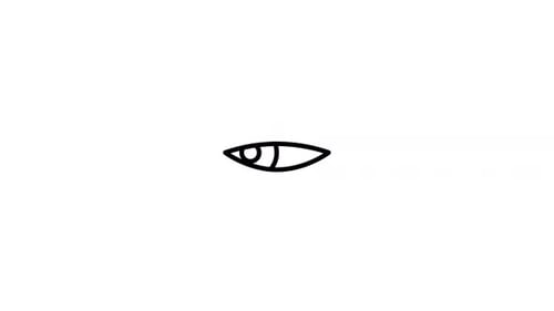 View Icon Animation