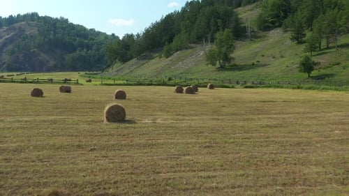 Hay Bales Peacefully Resting in a Picturesque Mountain Meadow
