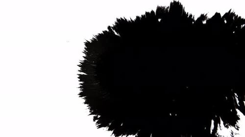 Black Ink Spreading on White Surface