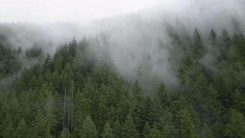 Aerial View of Beautiful Mountain Landscape Fog Rises Over the Mountain Slopes