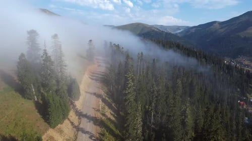 Car On The Foggy Road