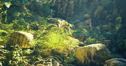 Lush Green Vegetation with Rocks in a Vibrant Forest During Daylight Hours